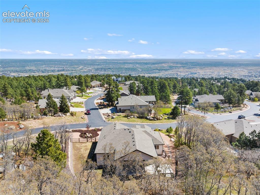 Image 7 of 47: Expansive residential neighborhood with mature evergreen and deciduous tree