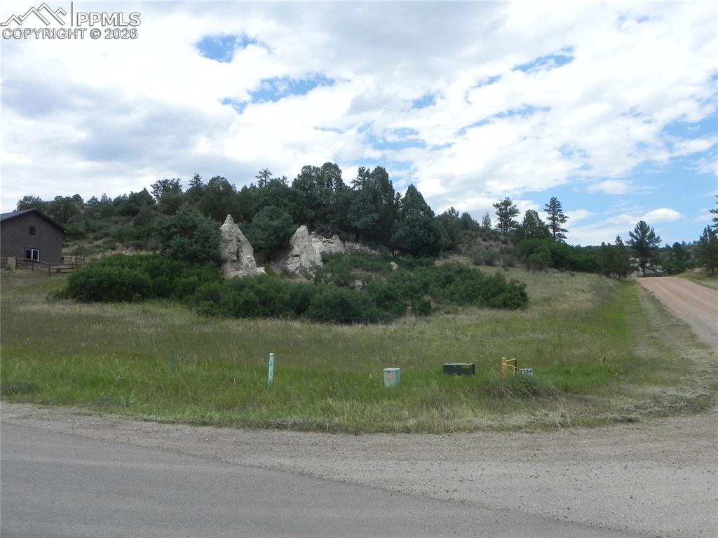 Image 11 of 50: No Description Available