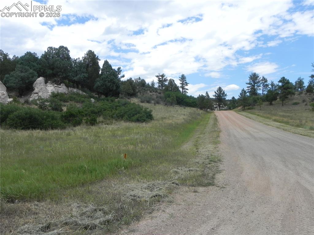 Image 12 of 50: No Description Available