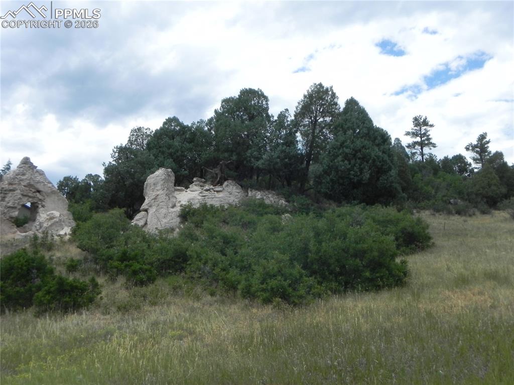 Image 15 of 50: No Description Available