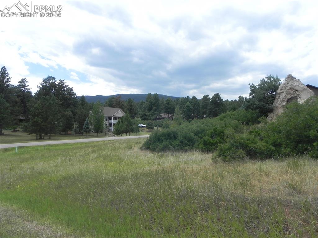 Image 16 of 50: No Description Available