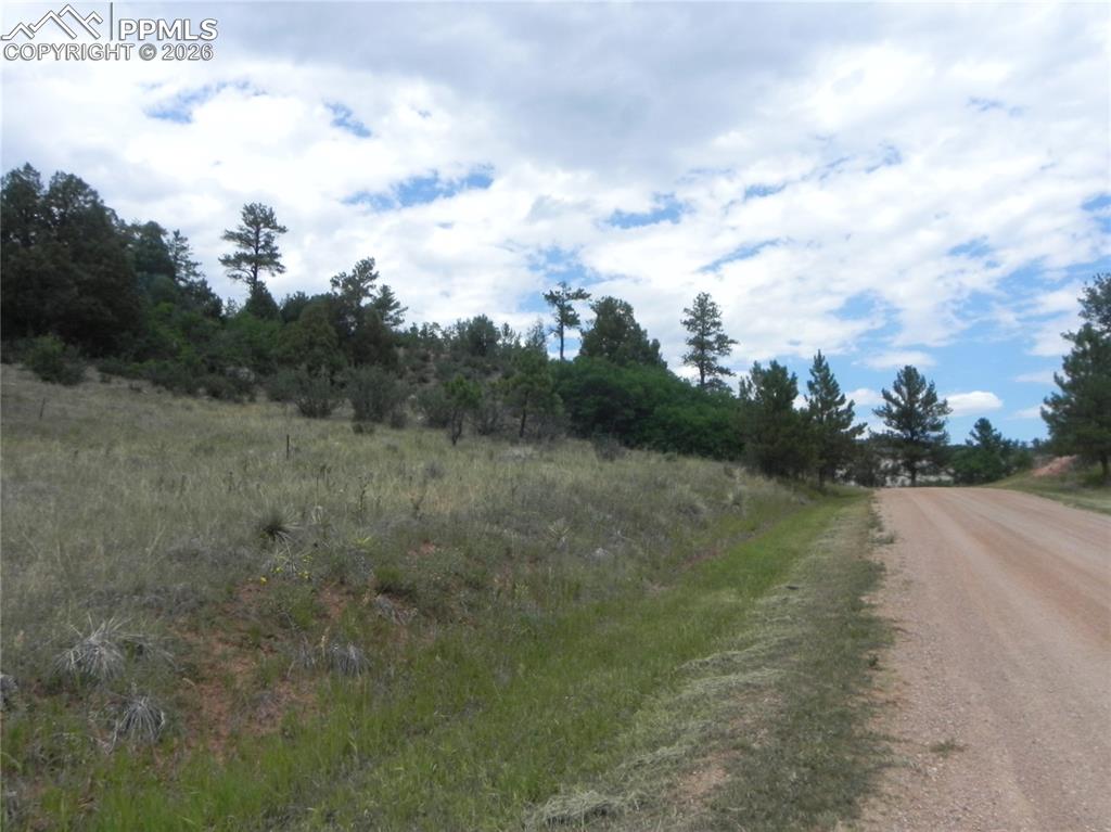 Image 17 of 50: No Description Available