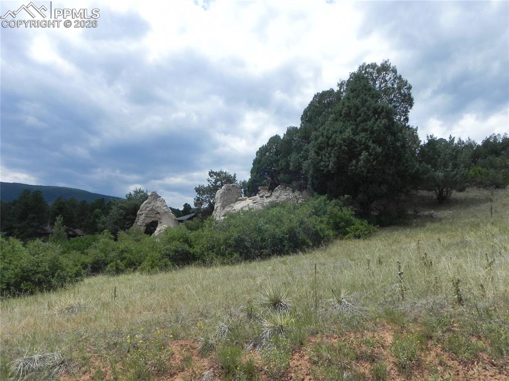 Image 18 of 50: No Description Available