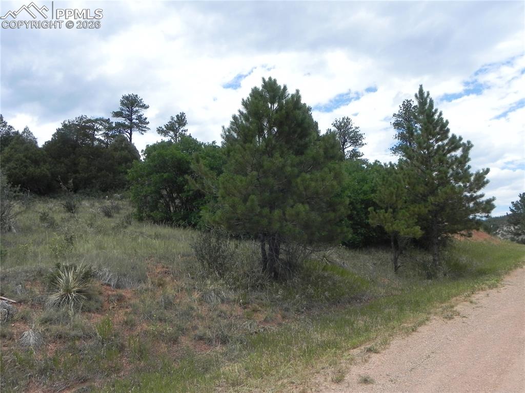 Image 19 of 50: No Description Available