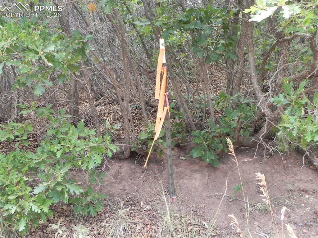 Image 20 of 50: No Description Available