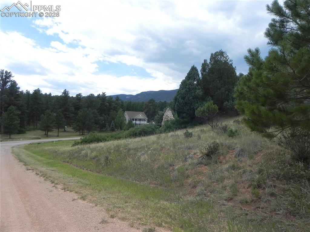 Image 21 of 50: No Description Available