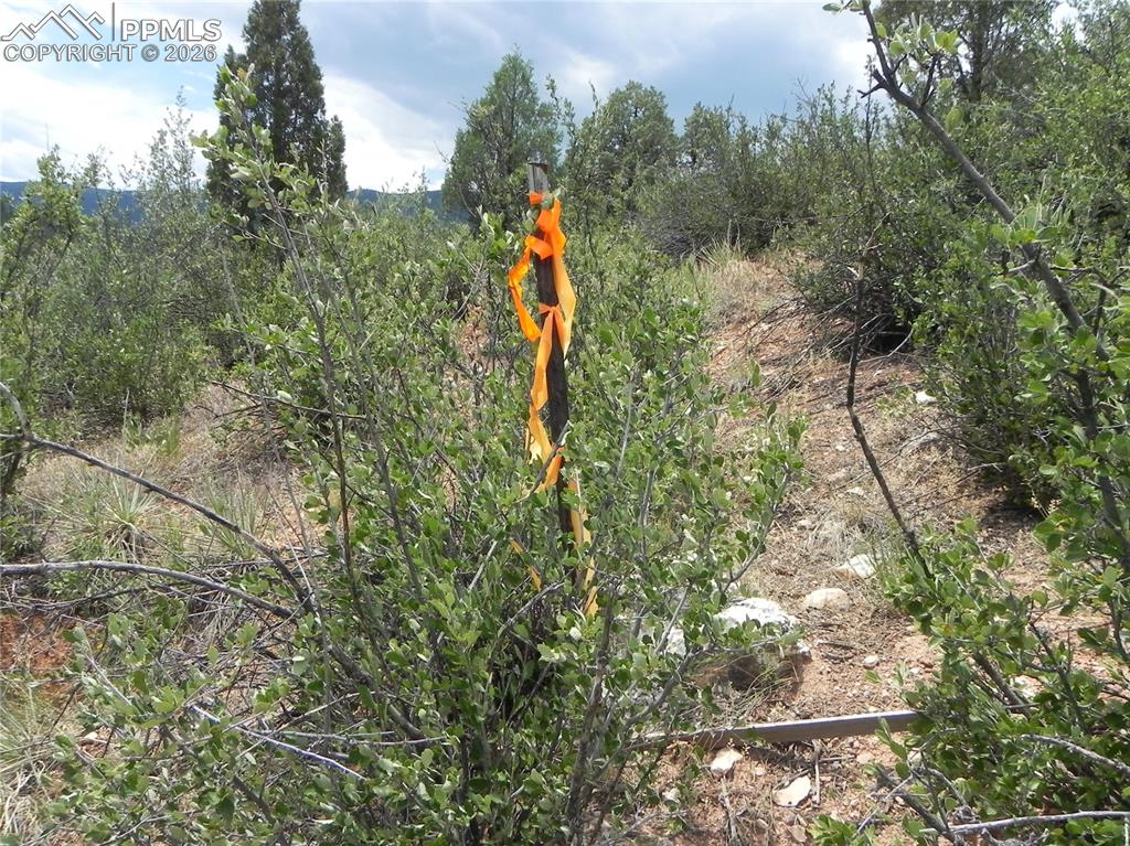 Image 24 of 50: No Description Available