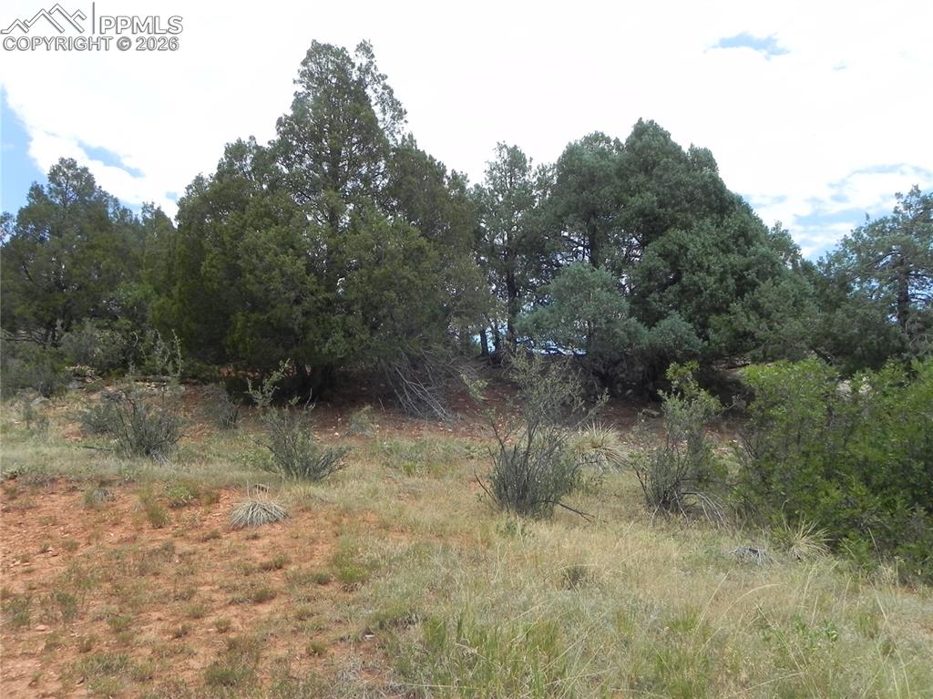 Image 25 of 50: No Description Available