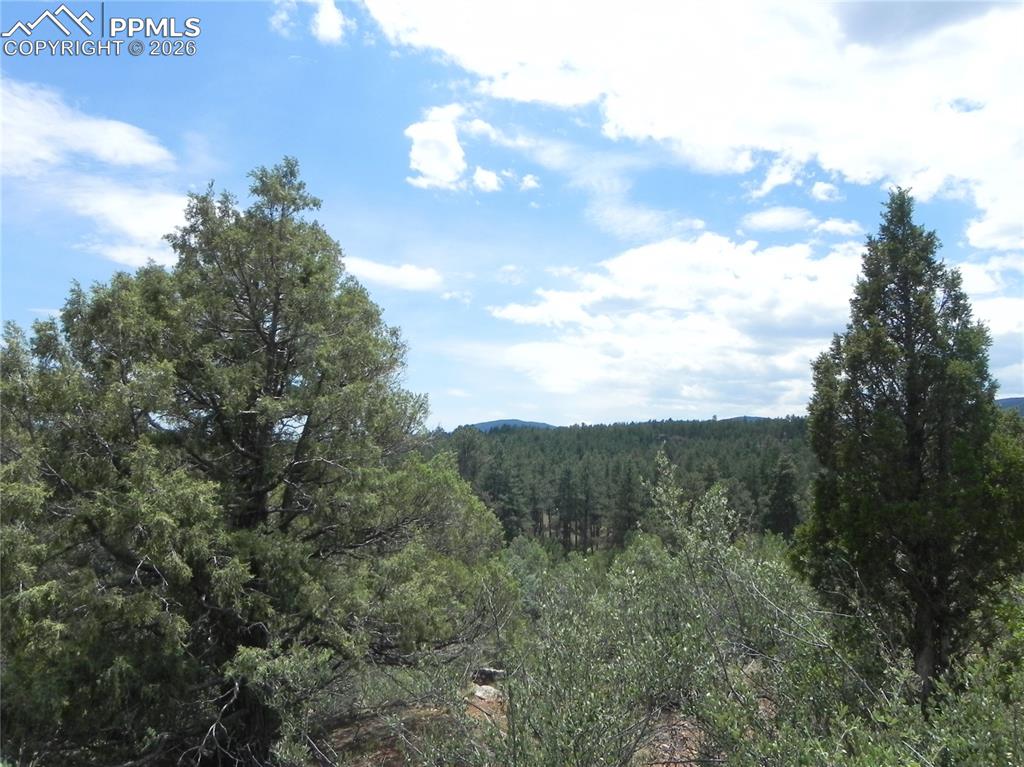 Image 29 of 50: No Description Available