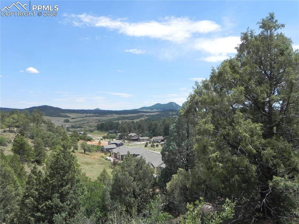 Image 30 of 50: No Description Available