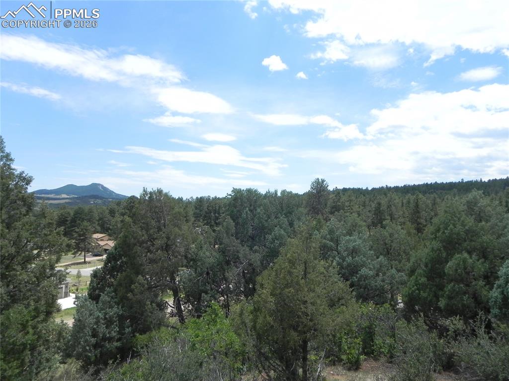 Image 34 of 50: No Description Available