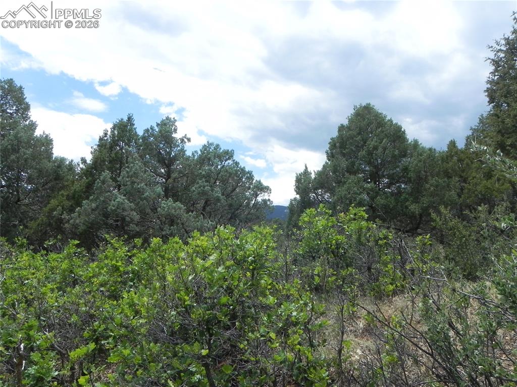 Image 38 of 50: No Description Available