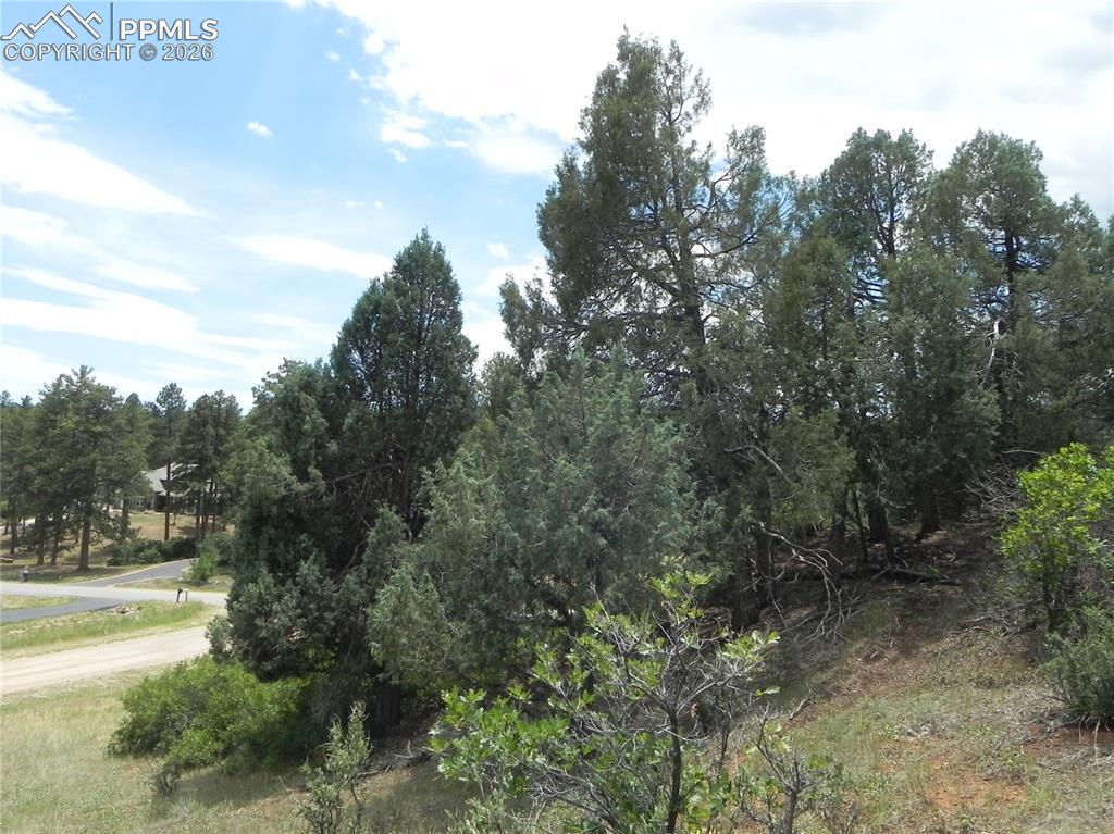 Image 39 of 50: No Description Available