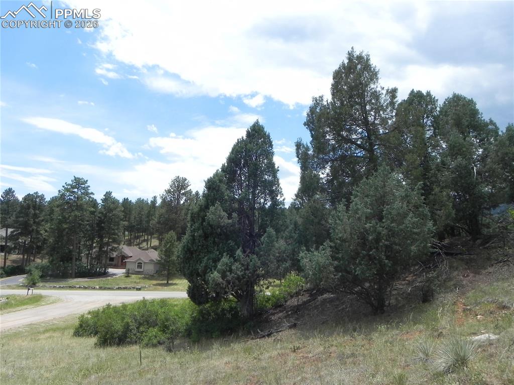 Image 40 of 50: No Description Available