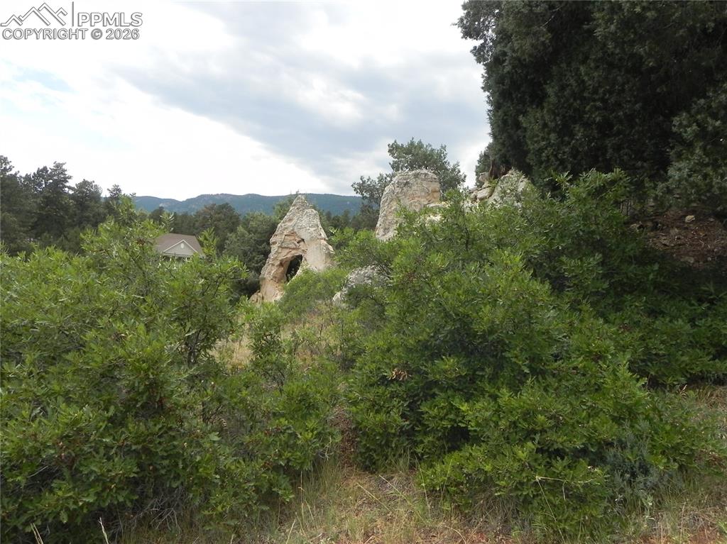 Image 41 of 50: No Description Available