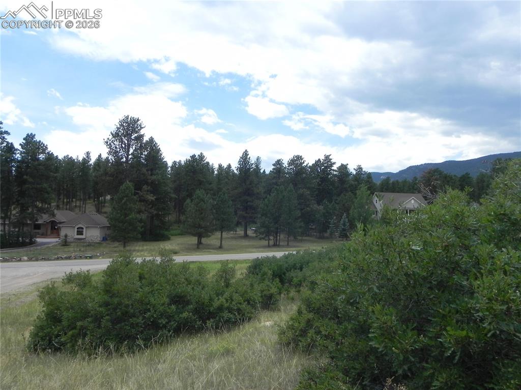 Image 42 of 50: No Description Available