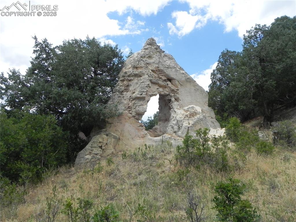 Image 43 of 50: No Description Available