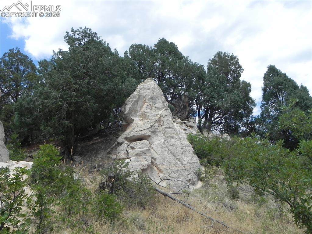 Image 44 of 50: No Description Available