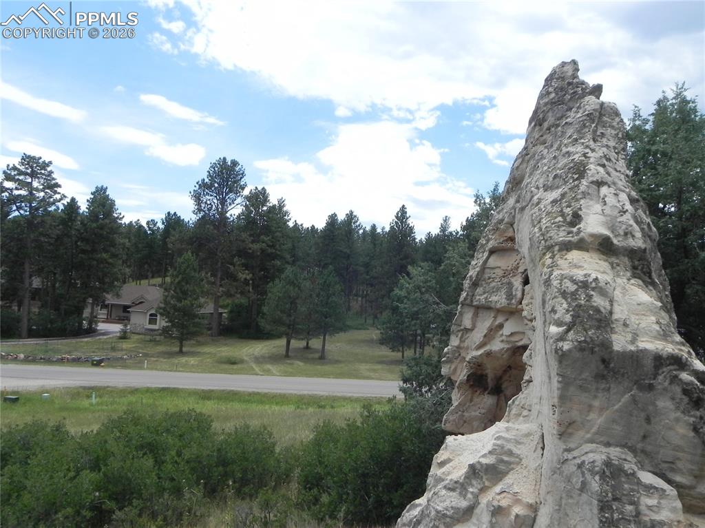 Image 46 of 50: No Description Available