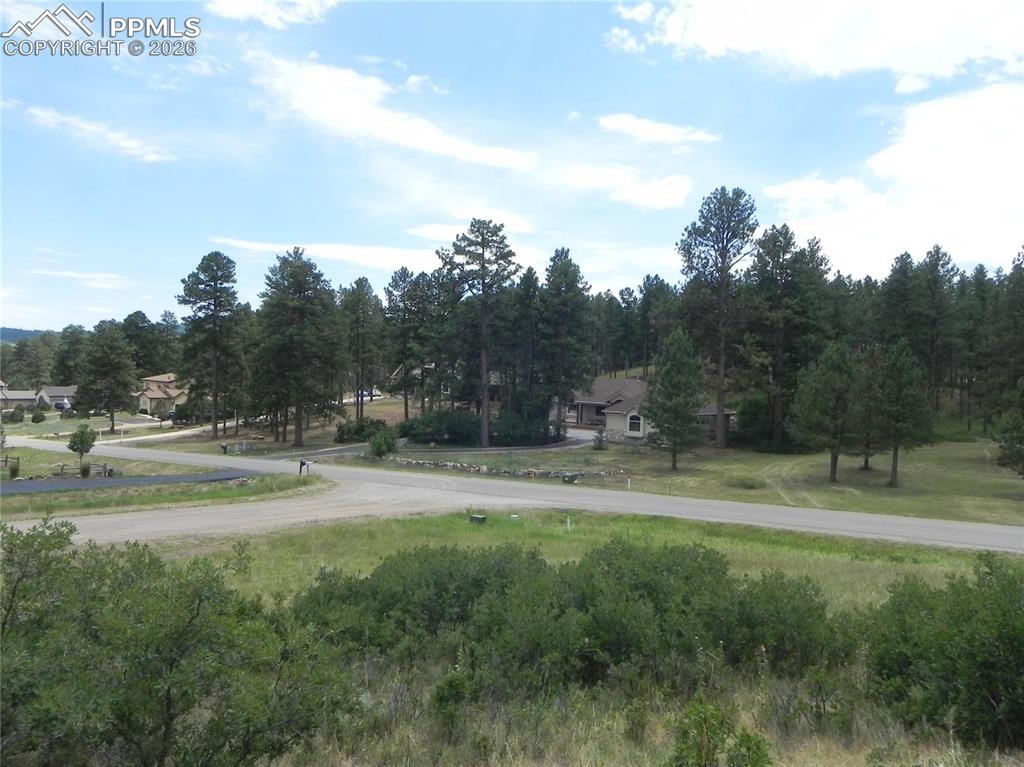 Image 47 of 50: No Description Available