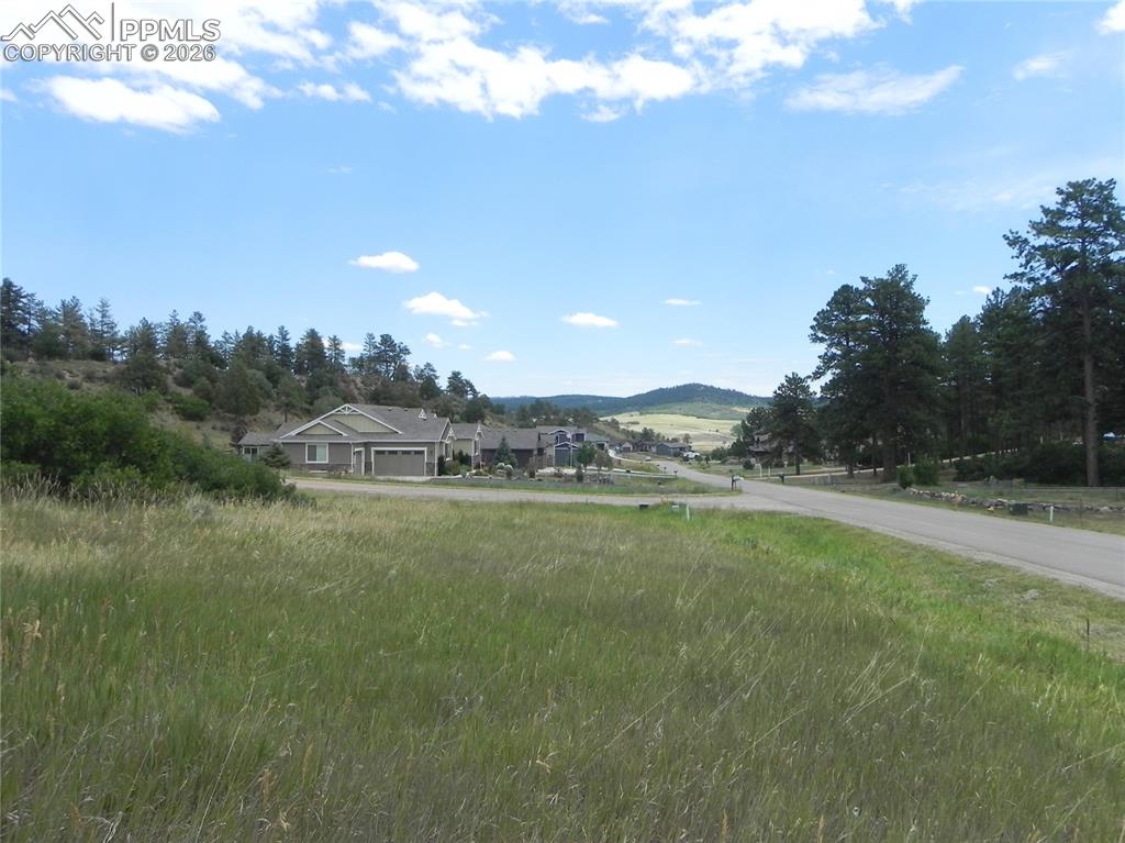 Image 49 of 50: No Description Available