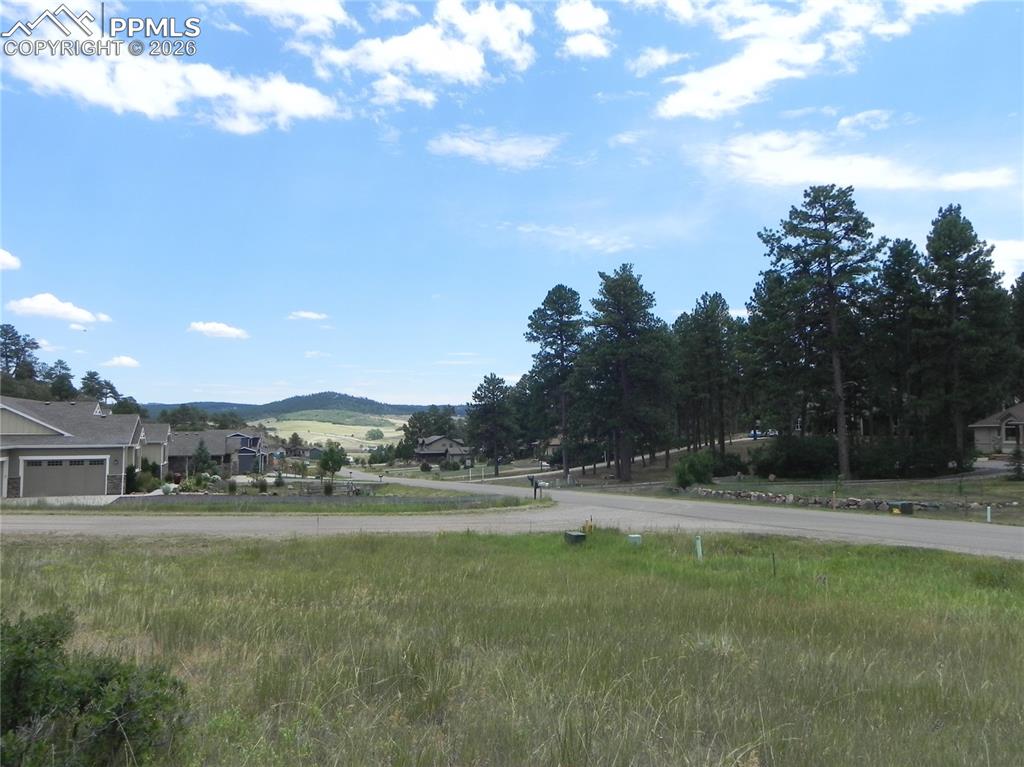 Image 50 of 50: No Description Available