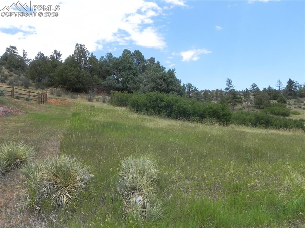 Image 7 of 50: No Description Available