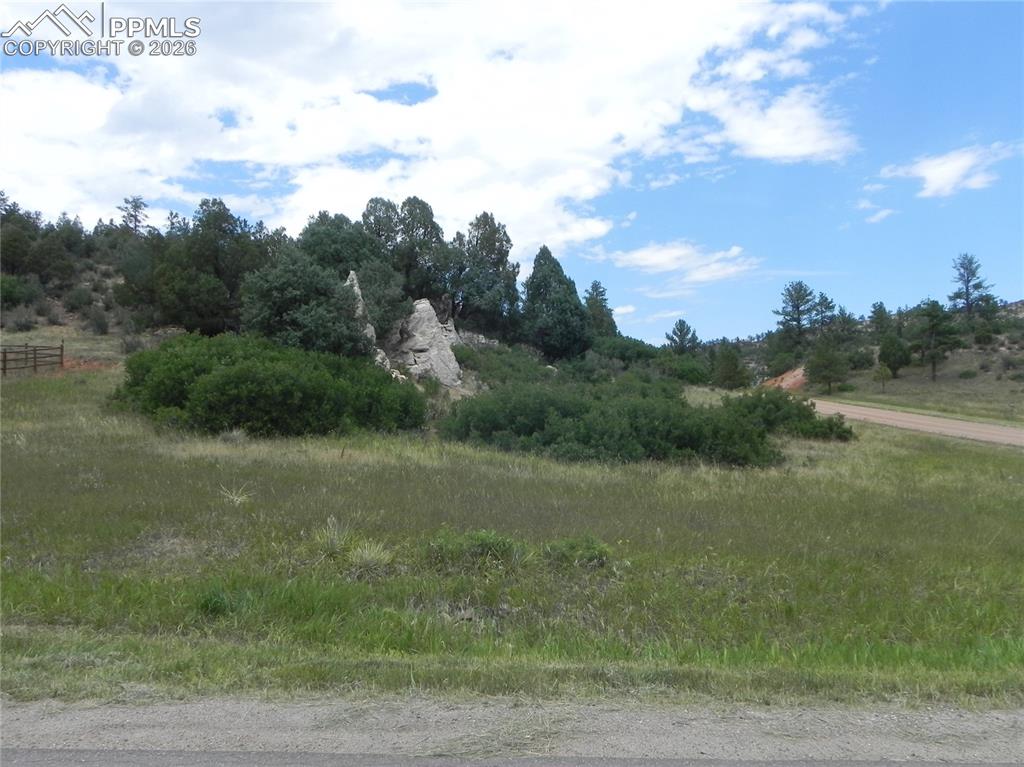 Image 9 of 50: No Description Available