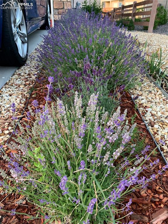 Image 39 of 42: Other