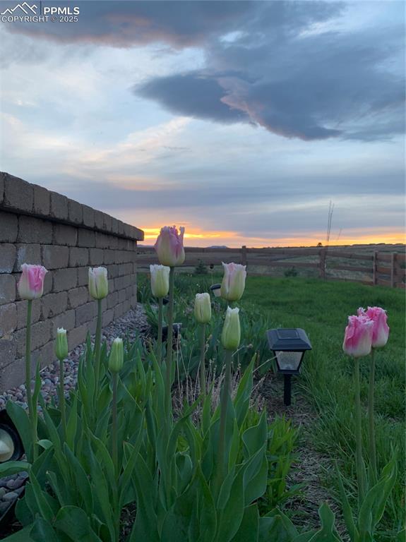 Image 40 of 42: Yard