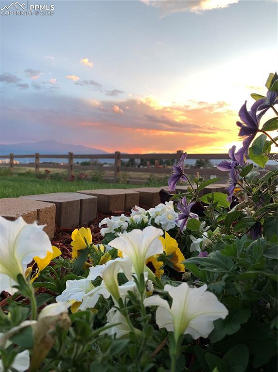 Image 41 of 42: Other