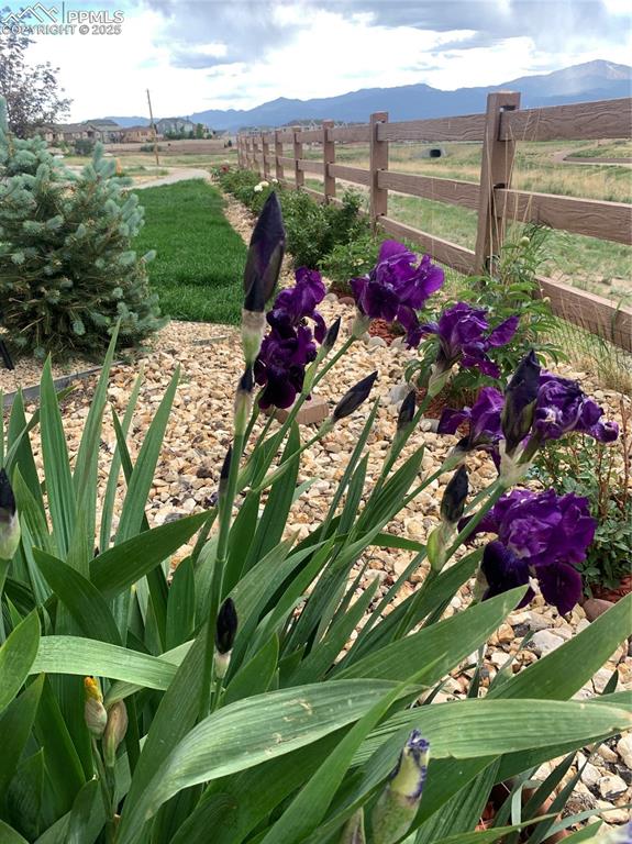 Image 42 of 42: Other