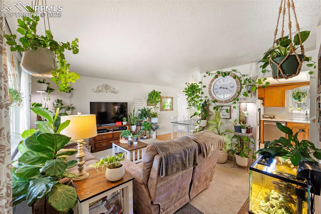 Image 12 of 38: Living area with a textured ceiling and light carpet