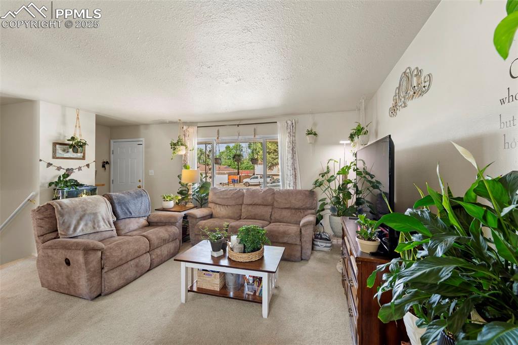 Image 14 of 38: Living room with carpet flooring and a textured ceiling