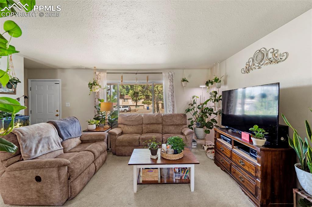 Image 15 of 38: Living room featuring a textured ceiling and light colored carpet