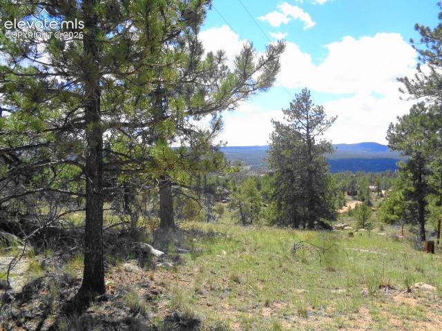 Image 10 of 33: View
