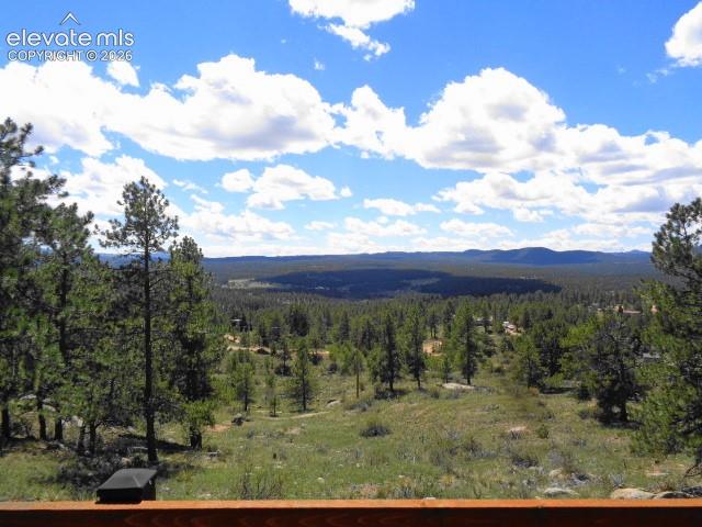 Image 31 of 33: View