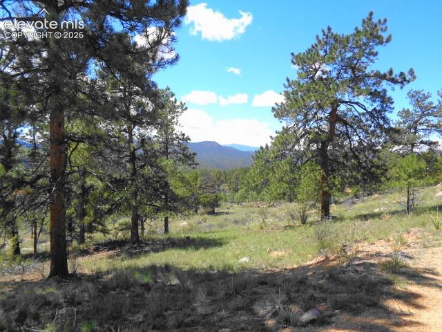 Image 33 of 33: View