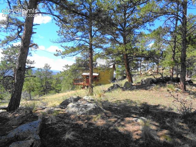 Image 7 of 33: Other
