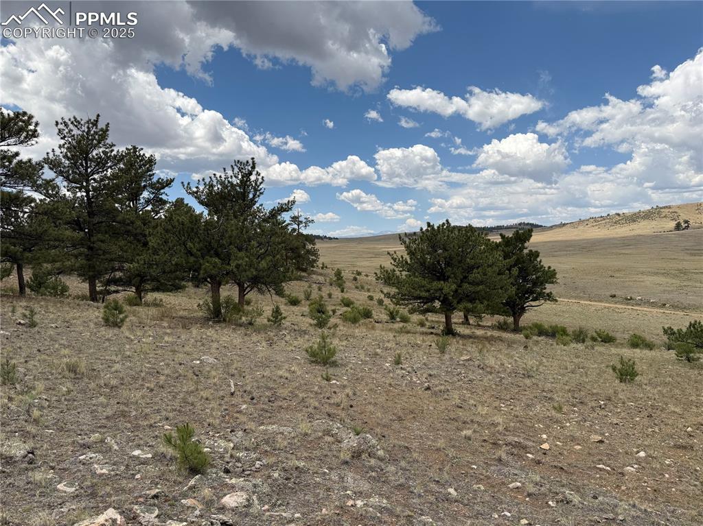 Image 10 of 13: Other