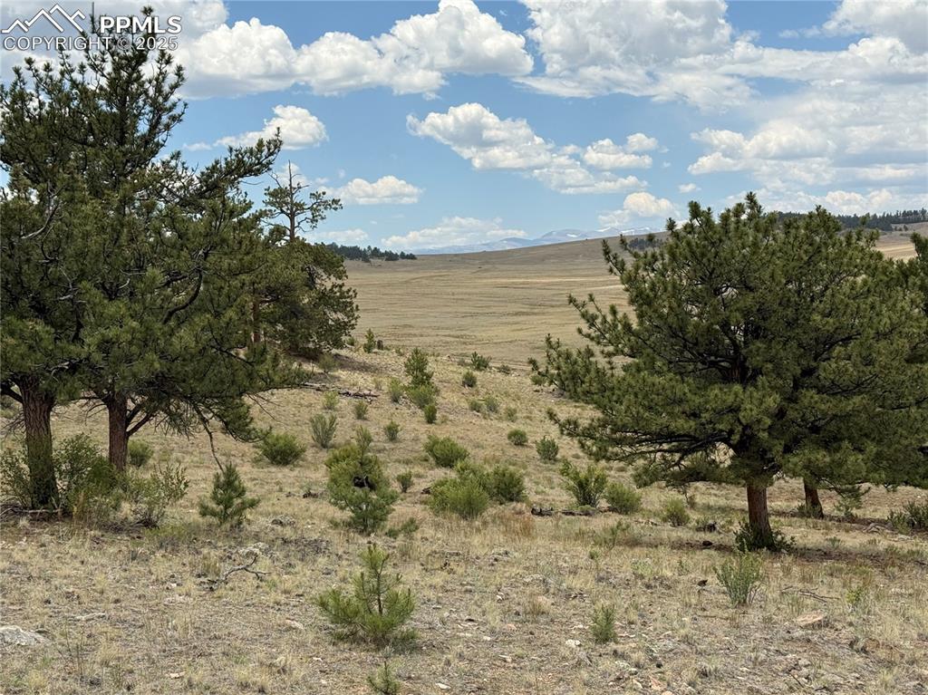 Image 11 of 13: Other