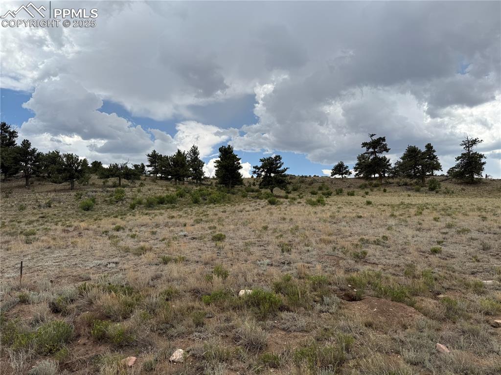 Image 12 of 13: Other