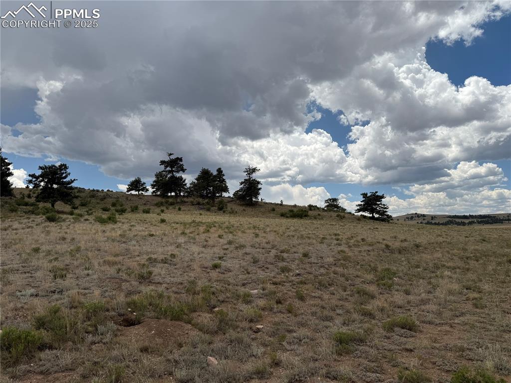 Image 13 of 13: Other