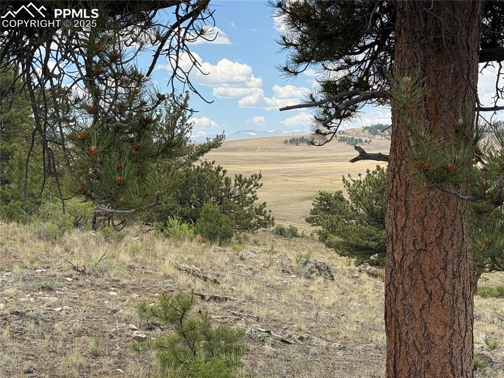 Image 3 of 13: Other