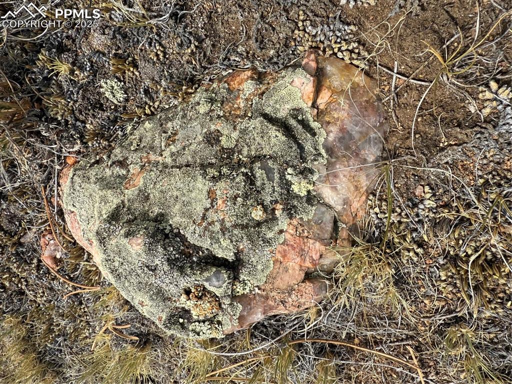 Image 4 of 13: Other