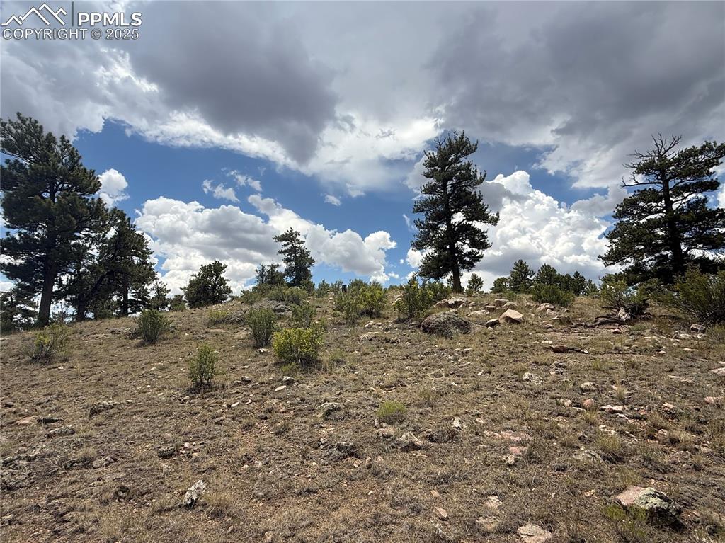 Image 5 of 13: Other