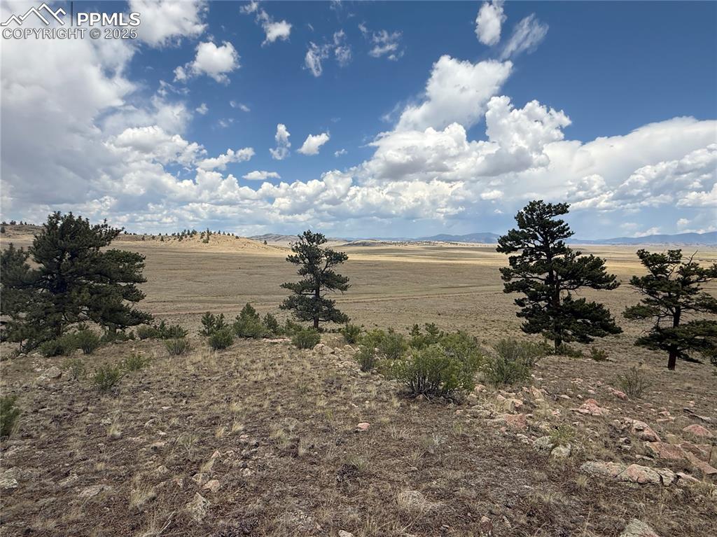 Image 6 of 13: Other