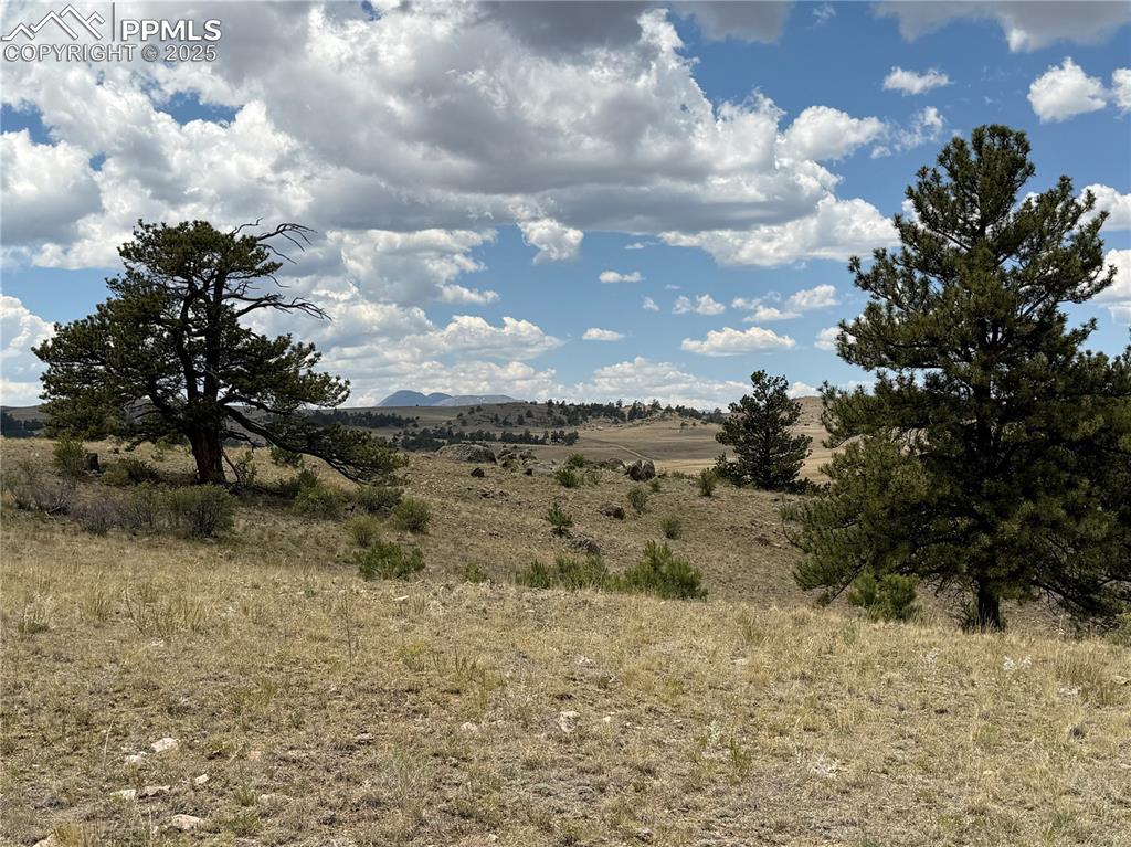 Image 7 of 13: Other