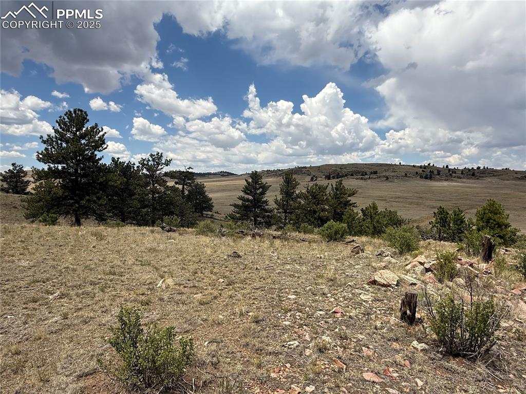 Image 8 of 13: Other