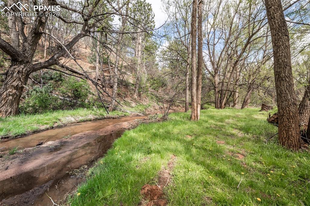 Image 50 of 50: Yard